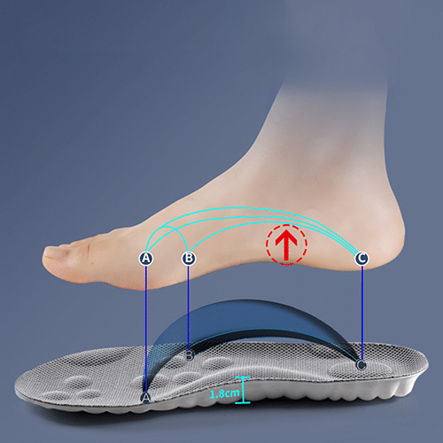 Wkładka z technologią 4d